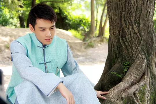 Peach Blossom Fate China / Taiwan Drama