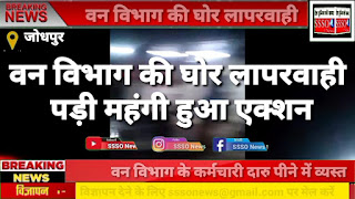 वन विभाग की घोर लापरवाही, घायल हिरण को एंबुलेंस में छोड़ कर्मचारी पीने लगे शराब