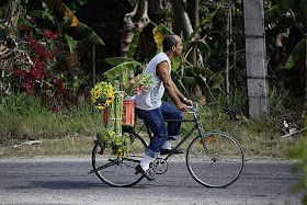 A man carries his flowers for sale
