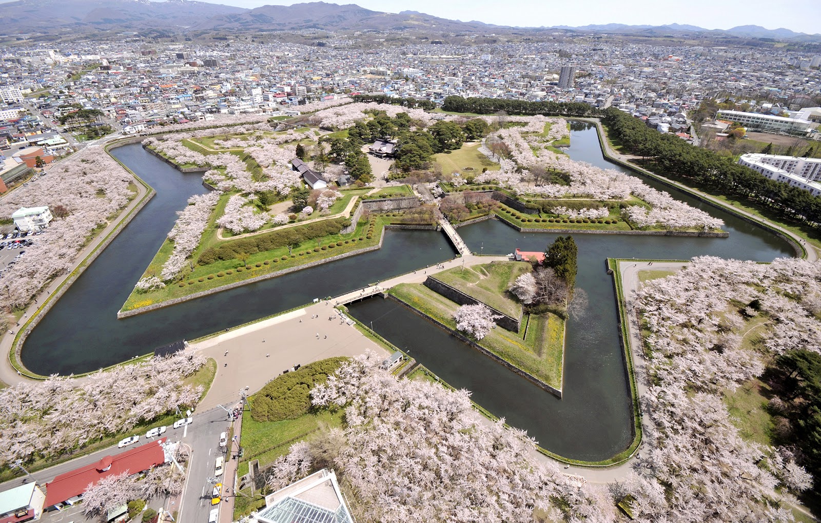 Sakura Sakura