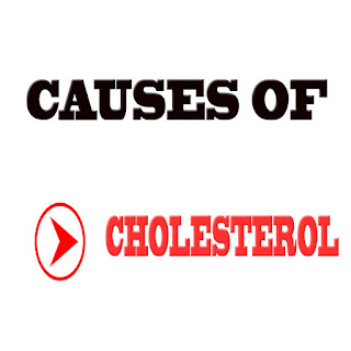 Exercise for lowering cholesterol