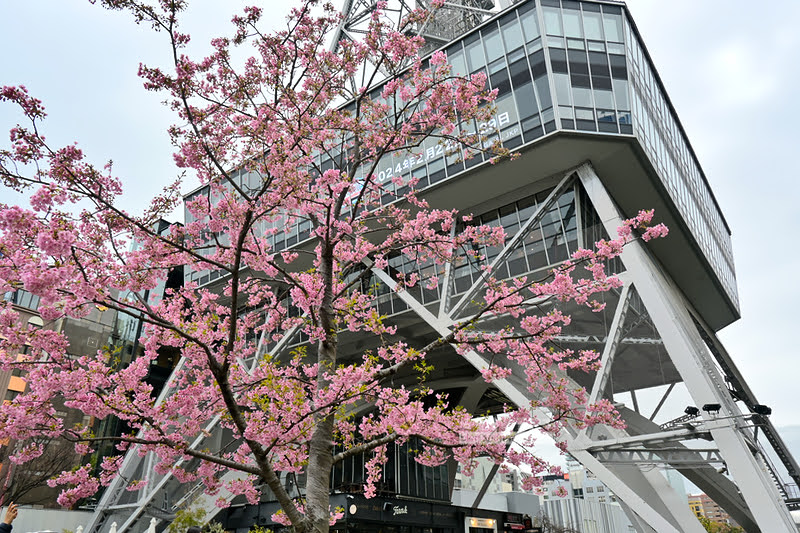 中部電力MIRAI TOWER,名古屋電視塔,名古屋景點 