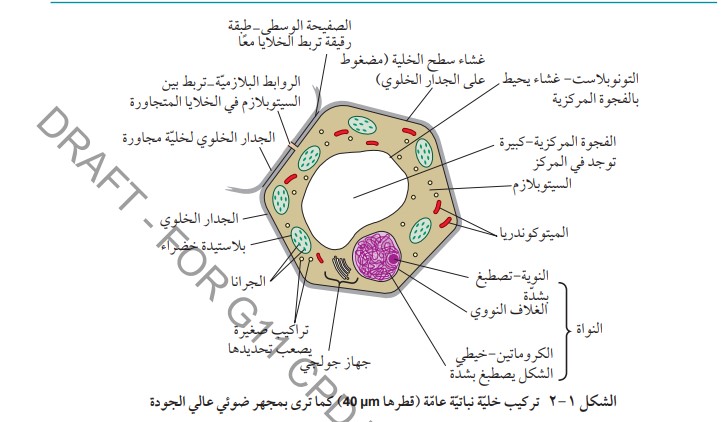 شرح الوحدة الأولى | تركيب الخلية - أحياء للصف الحادي عشر