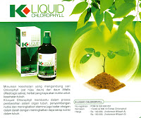  K-Link K-Liquid Chlorophyl Purwakarta