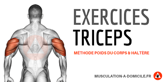 musculation à domicile exercices musculation triceps poids de corps haltère