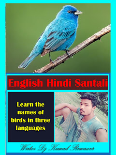 Learn the names of birds in Santhali languagewebsite seo ...