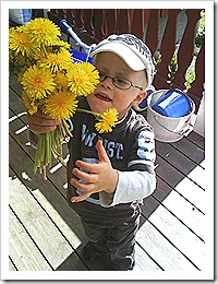 2007-05-082937