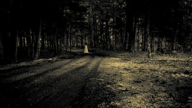 Night View of Road in jungle