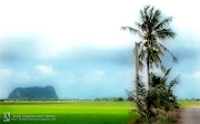 Wallpaper of Kodiang (Digital Camera Olympus)