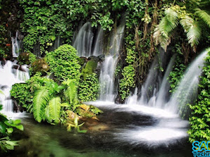 Rekomendasi Tempat Wisata di Malang yang Cocok untuk Introvert