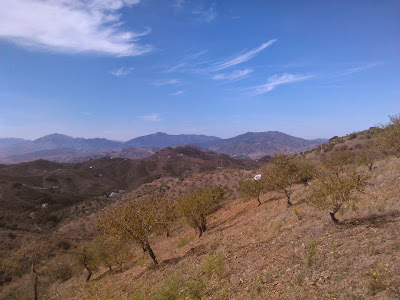 almendros