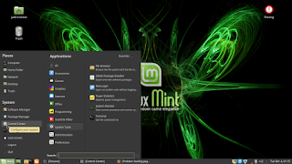 Mensetting Network di Linux Mint
