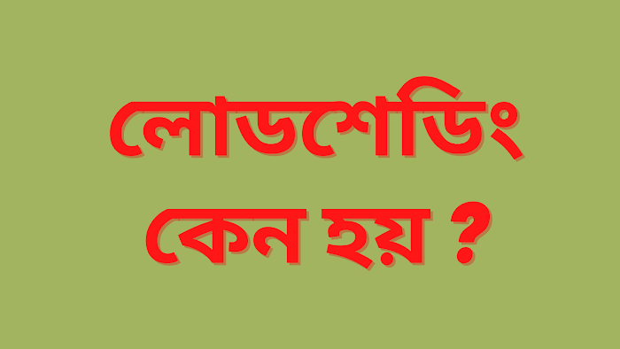 দিল্লি জামে মসজিদ সম্পর্কে জানুন