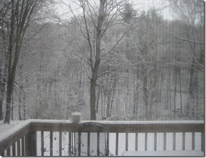 aprilsnow 001