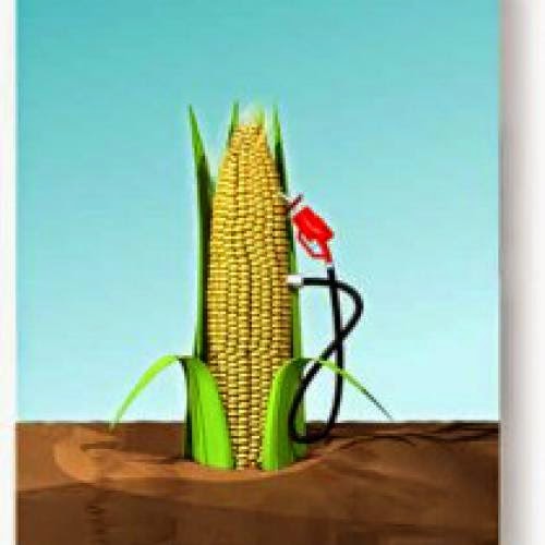 Landowners How To Harvest Wind And Solar Energy For Your Farm