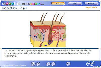 http://ww2.educarchile.cl/UserFiles/P0024/File/skoool/2010/Ciencia/skin/