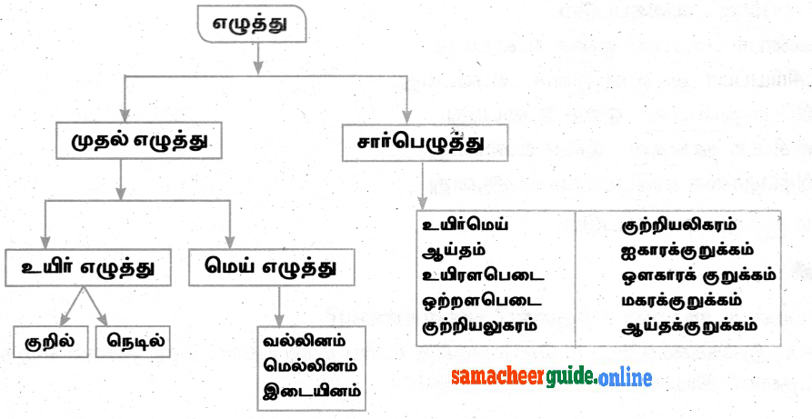 Samacheer Kalvi 8th Tamil Solutions Chapter 8.5 யாப்பு இலக்கணம்