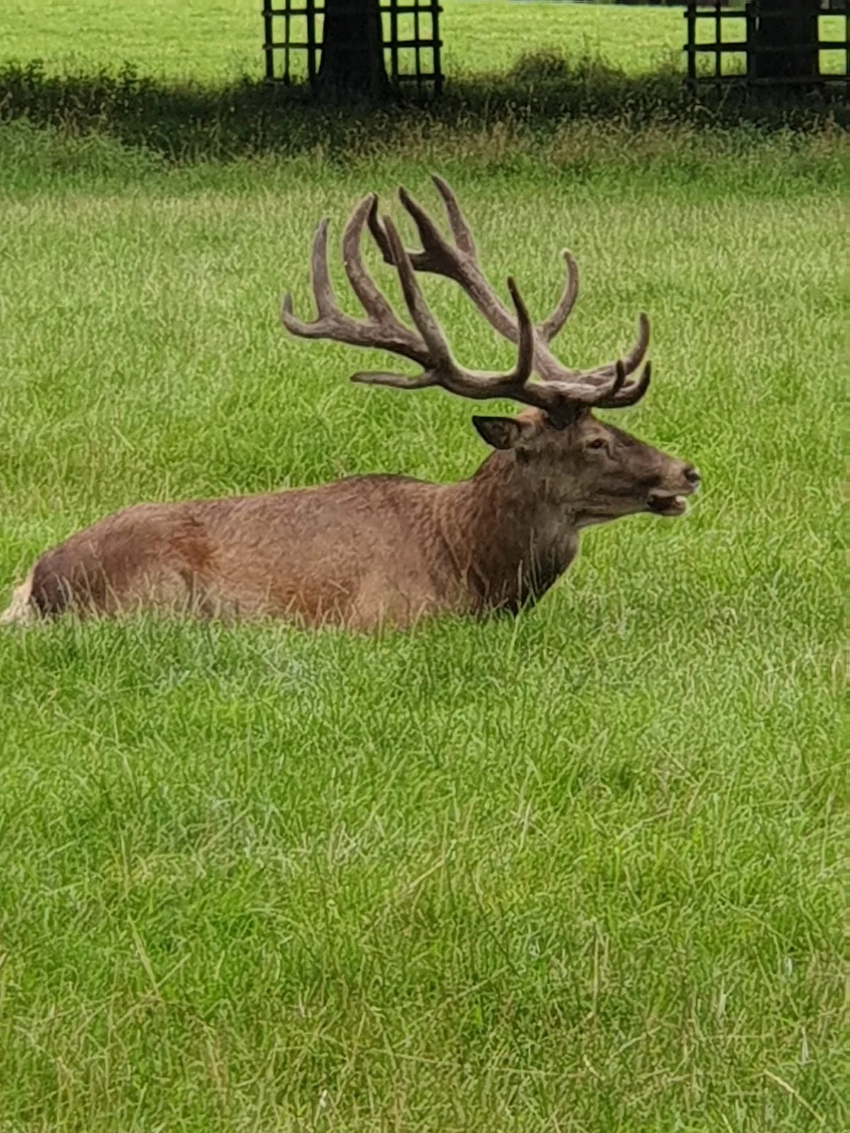 A Walk Around Wollaton Hall In Nottingham