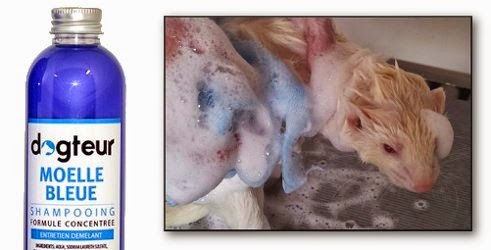 Shampooing Dogteur Moelle Bleue