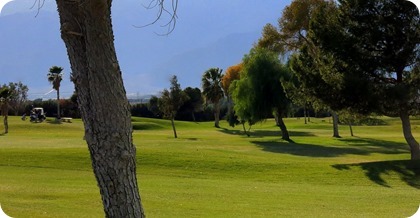 IMG_0064