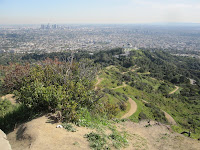 Mt. Hollywood