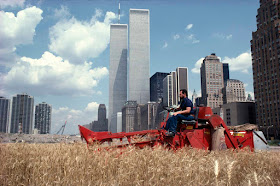 Campo de trigo en Nueva York - 1982