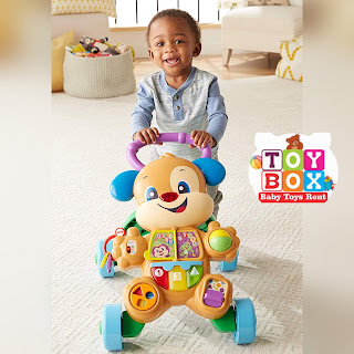 http://toyboxrental.blogspot.com/2020/01/fisher-price-learn-with-puppy-walker.html