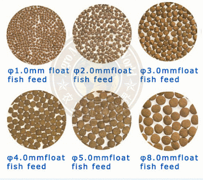 floating fish feed pellet machine,floating fish feed extruder,fish feed machine,floating fish feed machine,fish feed extruder,floating fish feed making machine,floating fish feed extruder machine,floating fish feed pellet making machine,fish feed pellet machine,floating fish pellet machine,fish feed extruder machine,commercial fish feed,300kg floating fish feed pellet production line