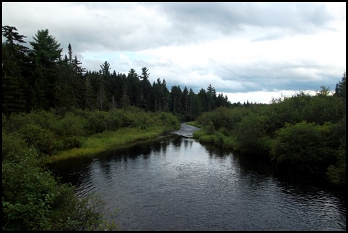 Looking for moose 003