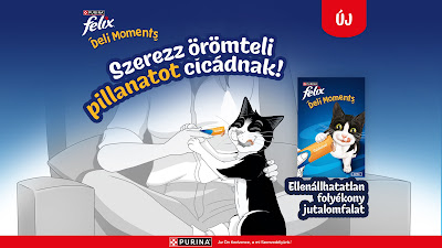 Trnd Terméktesztelés