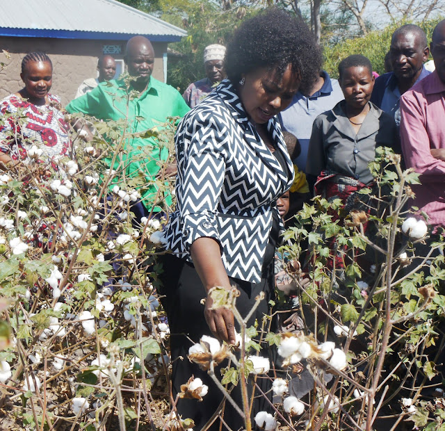 DC MATIRO AWATAKA WAKULIMA KUFUATA MASHARTI YA KILIMO CHA PAMBA