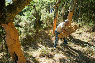 Apilando panas de corcho