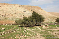 Fatzael Springs and water system