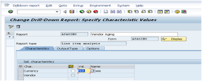 Vendor Aging Analysis Through SAP Report Painter