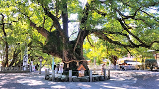 人文研究見聞録：大麻比古神社 ［徳島県］