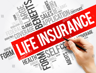 Life Insurance