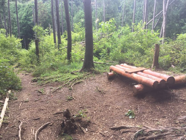 城山登山道にある丸太のベンチ