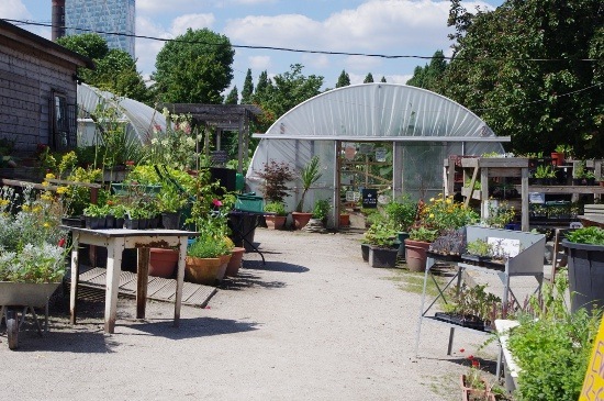 city farm 1