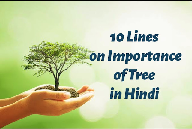 10 Lines on Importance of Tree in Hindi