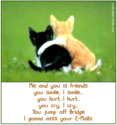 haha now here are the funny friendship quotes! TWEET ME Friends Forever