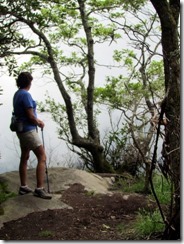 T gets a foggy view