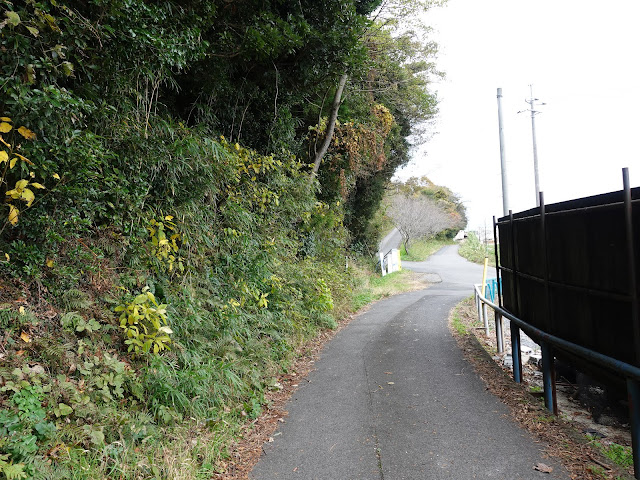 つぼかめ山の縁を左に歩きます