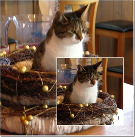 6  nisse 2