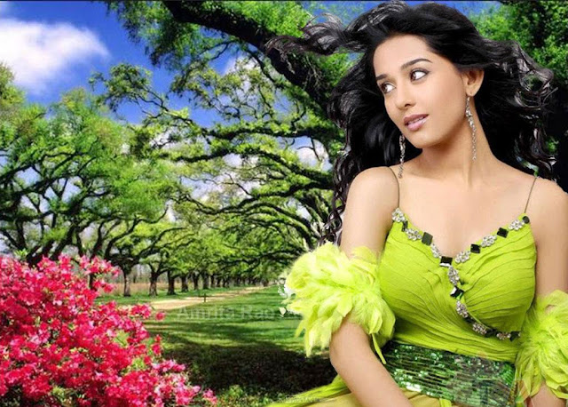 Amrita Rao Hd Wallpapers