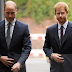 'William and I are on different paths' - Prince Harry acknowledges tensions with his brother