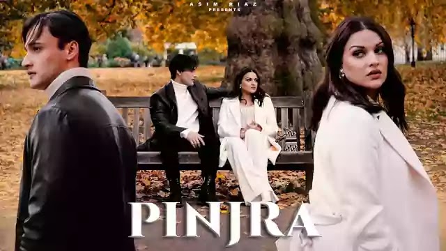 Pinjra Song Lyrics – Asim Riaz, Himanshi Khurana