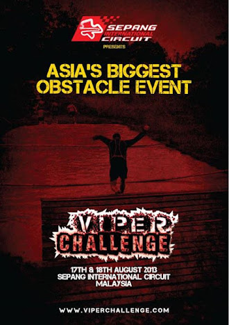 The diary of a girl who runs and rants : Viper Challenge 2013