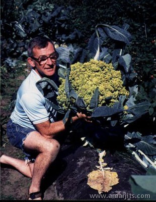 Giant-Foods (6)