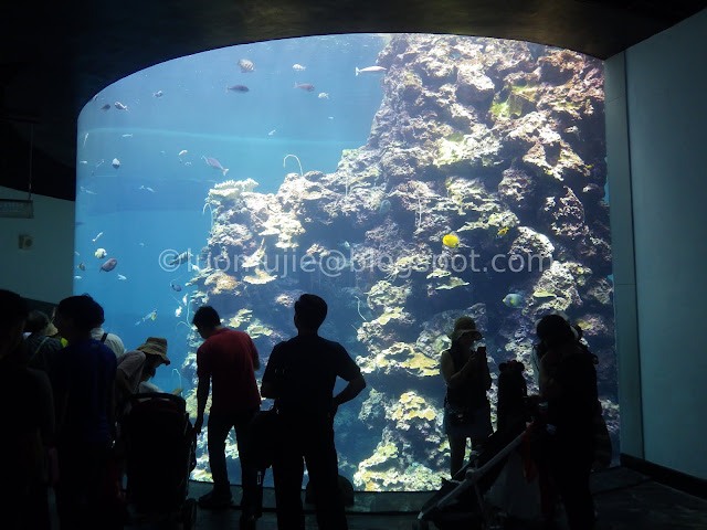 Kenting National Museum of Marine Biology and Aquarium