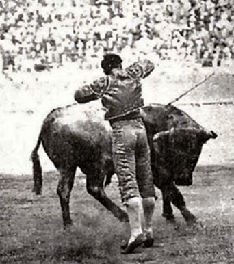 muleta-3